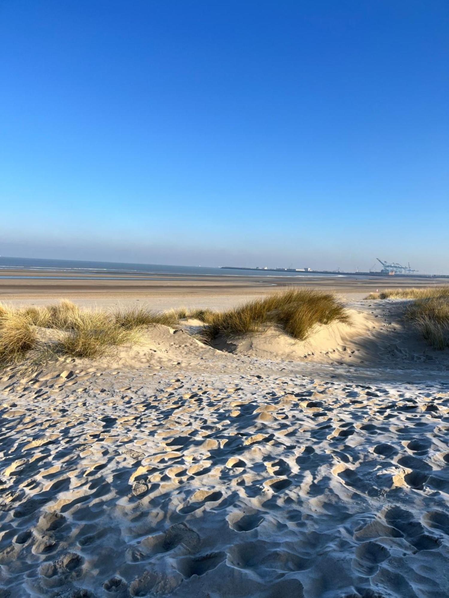Dune Du Clemot Blankenberge Εξωτερικό φωτογραφία