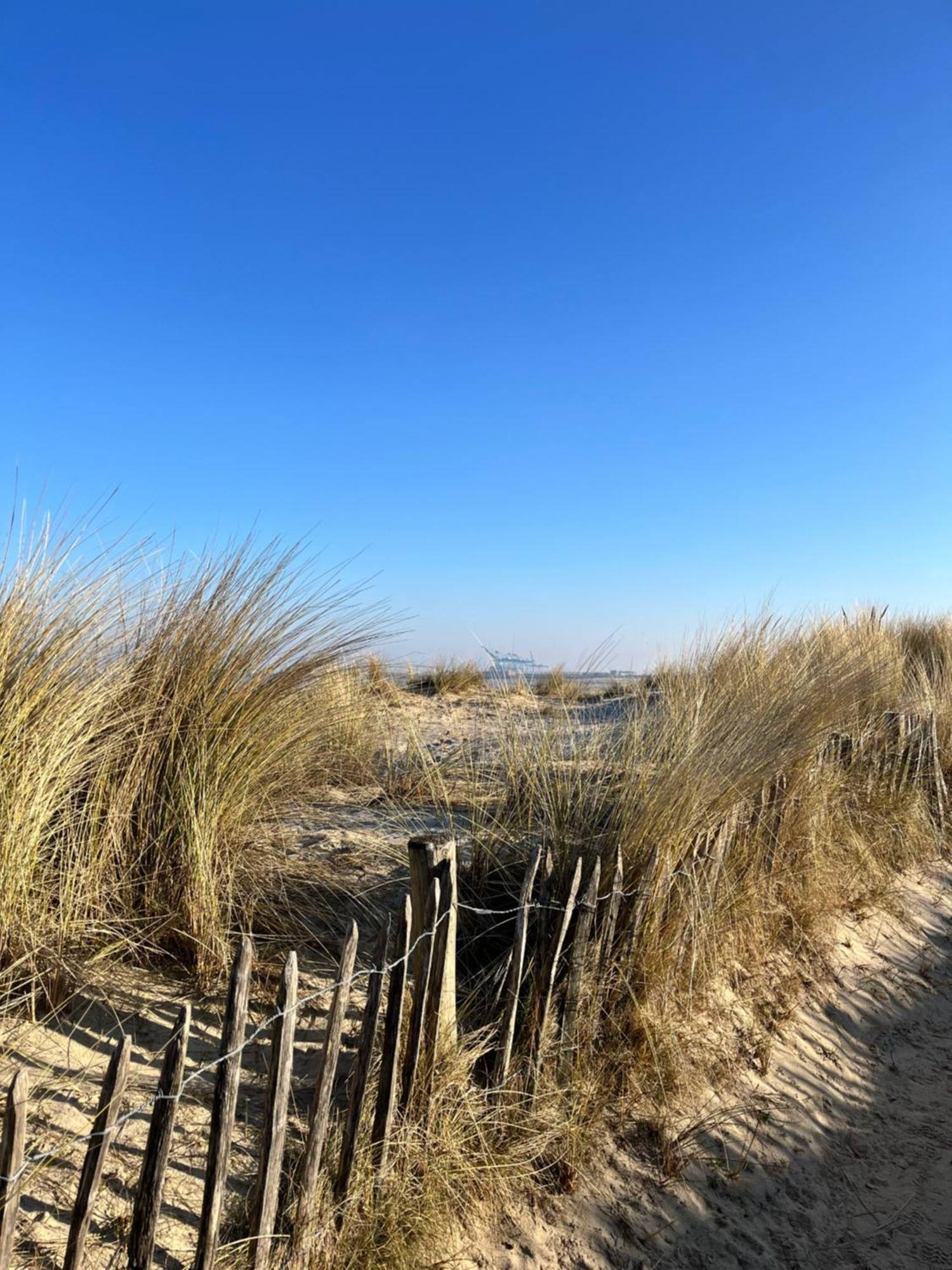 Dune Du Clemot Blankenberge Εξωτερικό φωτογραφία